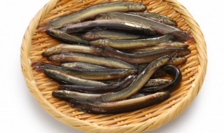 泥鳅功效 泥鳅功效及食疗