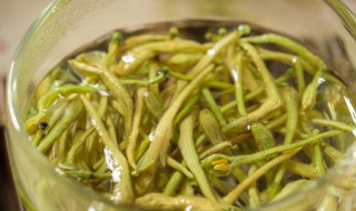 金银花茶可以天天喝吗（能不能长期喝金银花茶）