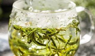 润肺养生茶（润肺养生茶怎么搭配）