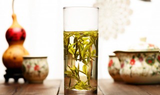 碧螺春茶叶的功效与作用 碧螺春茶叶的功效与作用及副作用