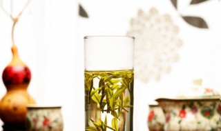 桑叶茶有什么功效 桑叶茶有什么功效和副作用