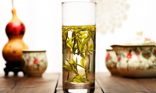 去心火喝什么茶好（去心火喝什么茶好喝莲子心好还是苦丁茶）
