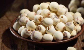 心火旺吃什么食物 心火旺吃什么食物和水果