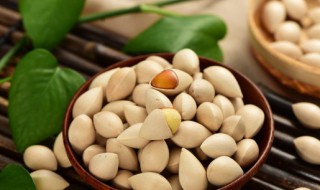 白果可以祛斑吗（白果能祛斑吗）