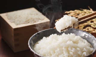 一碗米饭的热量多少千焦 一千焦热量等于多少米饭