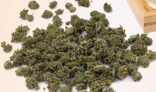 三七花茶的功效与禁忌 三七花茶的功效与禁忌