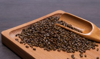 便秘喝什么茶好（老年人便秘喝什么茶好）