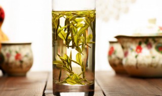 喝苦丁茶可以减肥吗（喝苦丁茶能减肥吗多久能见效果）