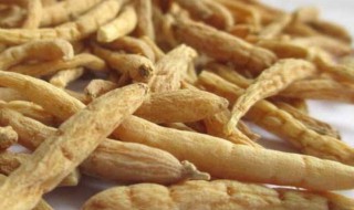 太子参的禁忌（太子参的禁忌和副作用）