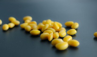 豆类的功效与作用（豆类的功效与作用 营养价值）