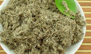茵陈的作用（中药茵陈的作用）