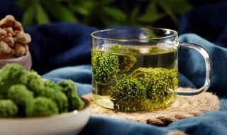 三七花能天天喝吗 三七花能天天喝吗怎么分真假