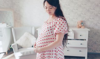 孕妇吃什么鱼 孕妇吃什么鱼最有营养,而且没有鱼刺