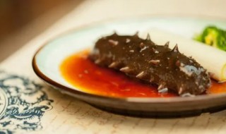 哪些人群不适宜吃海参呢 哪些人群不适宜吃海参呢视频