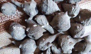 生附子的功效与作用 生附子的功效与作用及用量禁忌