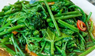 宝宝吃菠菜的禁忌 宝宝吃菠菜注意事项