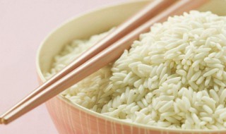 糯米功效（糯米功效及营养价值）