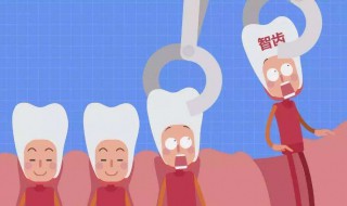 什么叫智齿牙长在哪里 智齿是长在哪边