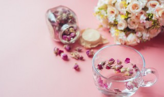 花茶搭配（花茶搭配表图片大全）