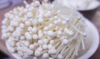 金针菇可以和鸡蛋一起吃吗（金针菇可以和鸡蛋一起吃吗早餐）