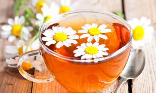 菊花茶有减肥功效吗 菊花茶有减肥功效吗知乎