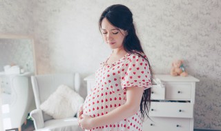 孕妇可以吃八爪鱼吗（孕妇可以吃八爪鱼吗寿司吗?）