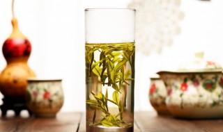去湿气的茶 去湿气的茶有哪些