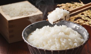 白米饭的营养价值（白米饭的营养价值怎么样）
