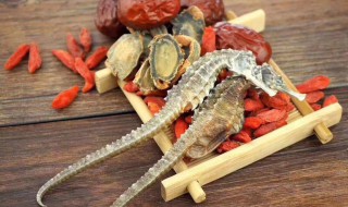 海马酒的最佳泡法 海马酒的最佳泡法图片