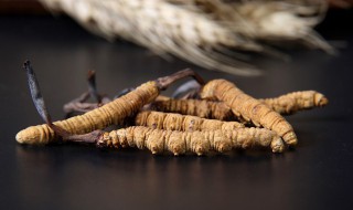 冬虫夏草吃法及用量 冬虫夏草的吃法及用量