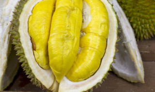 榴莲属于凉性还是热性 榴莲属于凉性还是热性的食物