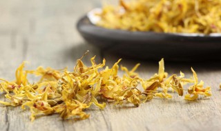 石斛花的功效 石斛花的功效与作用适合哪些人