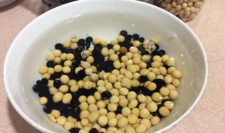 黑豆黄豆可以一起打豆浆吗（黑豆黄豆可以一起打豆浆吗孕妇）