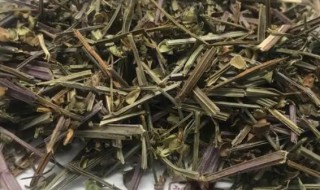 半枝莲的功效 半枝莲的功效与作用主要治什么病