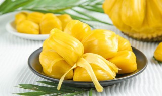 孕妇能不能吃菠萝蜜 孕妇能不能吃菠萝蜜, 菠萝蜜的好处