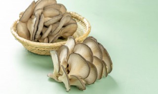 菌类是发物吗 菌类是发物吗乳腺增生能吃吗