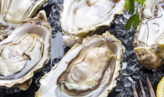 什么蔬菜补肾（什么蔬菜补肾最好）