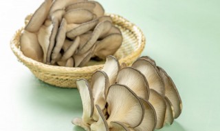 蘑菇能和鸡蛋一起吃吗（蘑菇和鸡蛋一起吃会中毒吗）