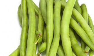 四季豆热量（干煸四季豆热量）