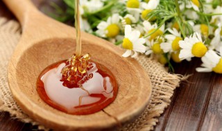 牛奶能和蜂蜜一起喝吗 牛奶能和蜂蜜一起喝吗牛奶可以冷