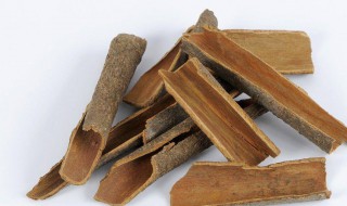 肉桂的功效与作用及禁忌 黄连加肉桂的功效与作用及禁忌