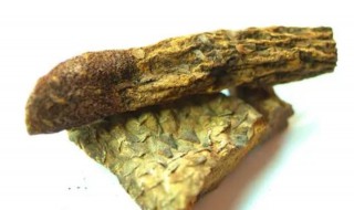 锁阳肉苁蓉泡水喝功效 锁阳肉苁蓉泡水喝功效使用方法