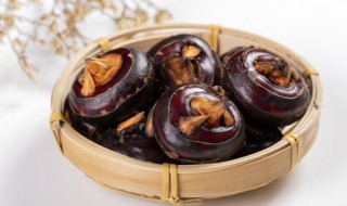 马蹄功效（马蹄功效与作用及禁忌）