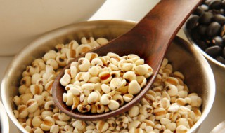 红豆薏米与什么相克（红豆薏米与什么相克呢）