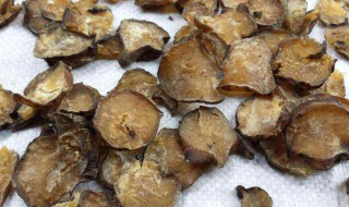 制白附子的功效与作用 制白附子的功效与作用点