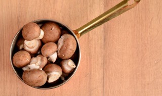 鹿茸对女人作用与功效 鹿茸对女人作用与功效视频