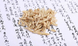 山麦冬的功效与作用（中药山麦冬的功效与作用）