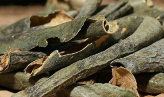 冬瓜皮泡水的功效 冬瓜皮泡水的功效可减肥不?