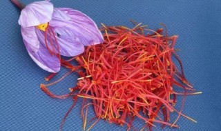 藏红花放了6年还能喝吗 藏红花放了六年了还能喝吗