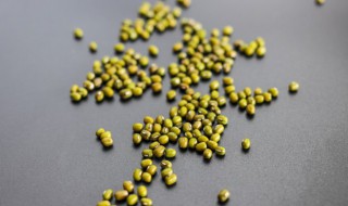 绿豆可以打豆浆吗 红豆绿豆可以打豆浆吗